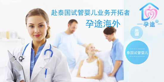 全程医疗翻译套餐